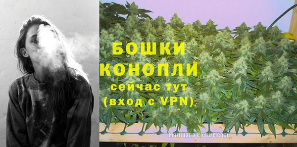мескалин Бородино