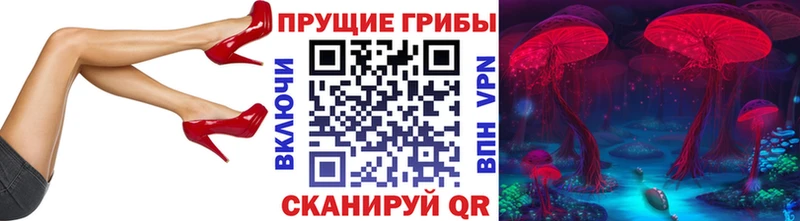где можно купить наркотик  Верхний Тагил  Псилоцибиновые грибы прущие грибы 